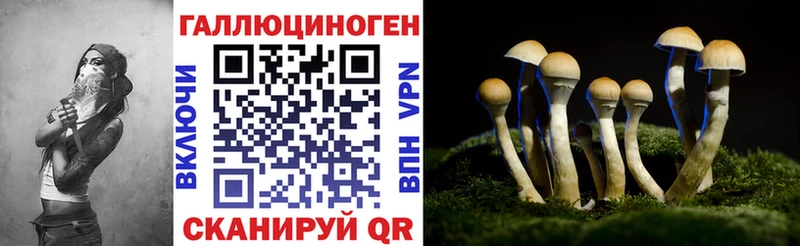 Купить закладки  Троицк  Псилоцибиновые грибы MAGIC MUSHROOMS 